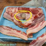 &I Went to the Store and Bought Some Bacon, But What Happened After I Brought It Home Turned a Simple Meal Into an Unexpected Experience