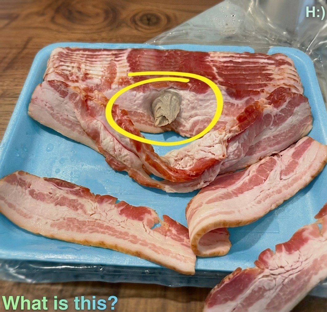 &I Went to the Store and Bought Some Bacon, But What Happened After I Brought It Home Turned a Simple Meal Into an Unexpected Experience