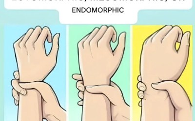 Ectomorph, Mesomorph, or Endomorph? Discover Your Body Type and How to Make the Most of It
