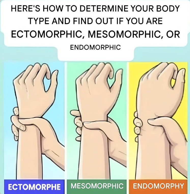 Ectomorph, Mesomorph, or Endomorph? Discover Your Body Type and How to Make the Most of It