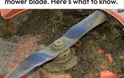 10 Signs of Dull Mower Blades You Shouldn’t Ignore
