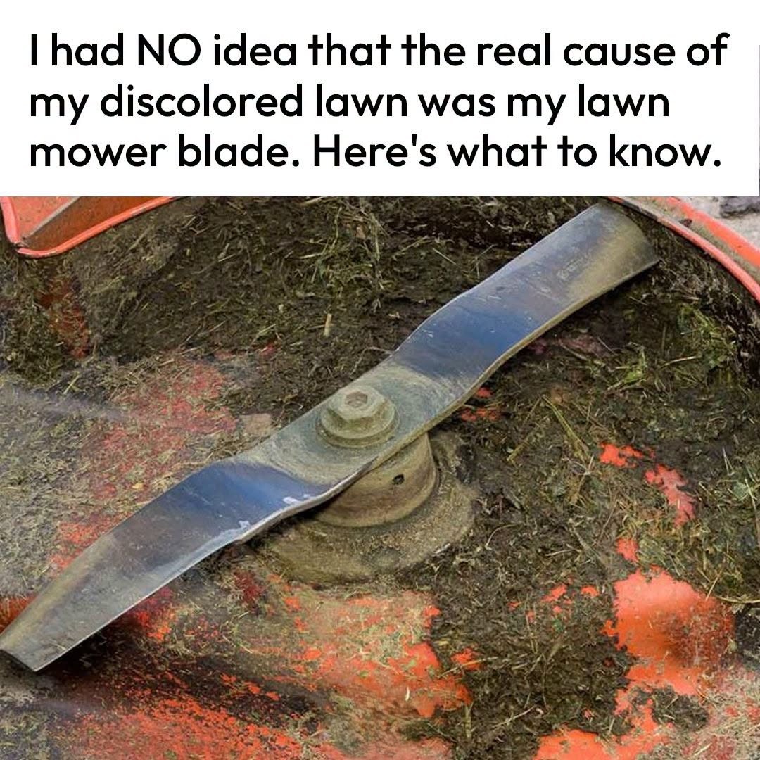 10 Signs of Dull Mower Blades You Shouldn’t Ignore