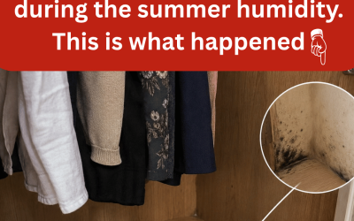 I put a cup of white vinegar in my closet for 21 days during the summer humidity. This is what happened