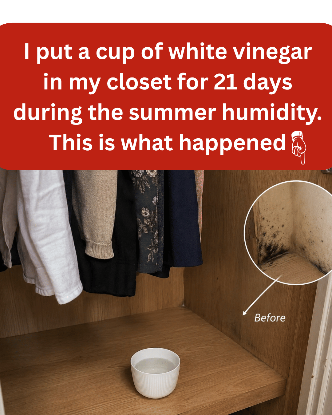I put a cup of white vinegar in my closet for 21 days during the summer humidity. This is what happened