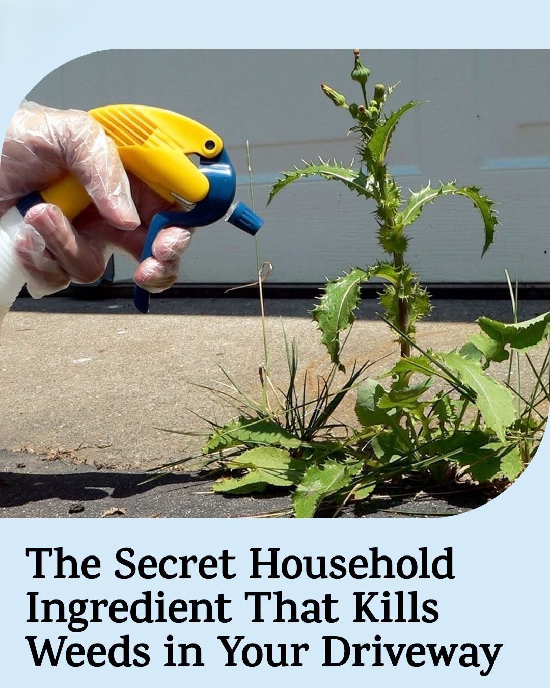 Is Bleach as a Weed Killer a Good or Bad Idea? Experts Weigh In