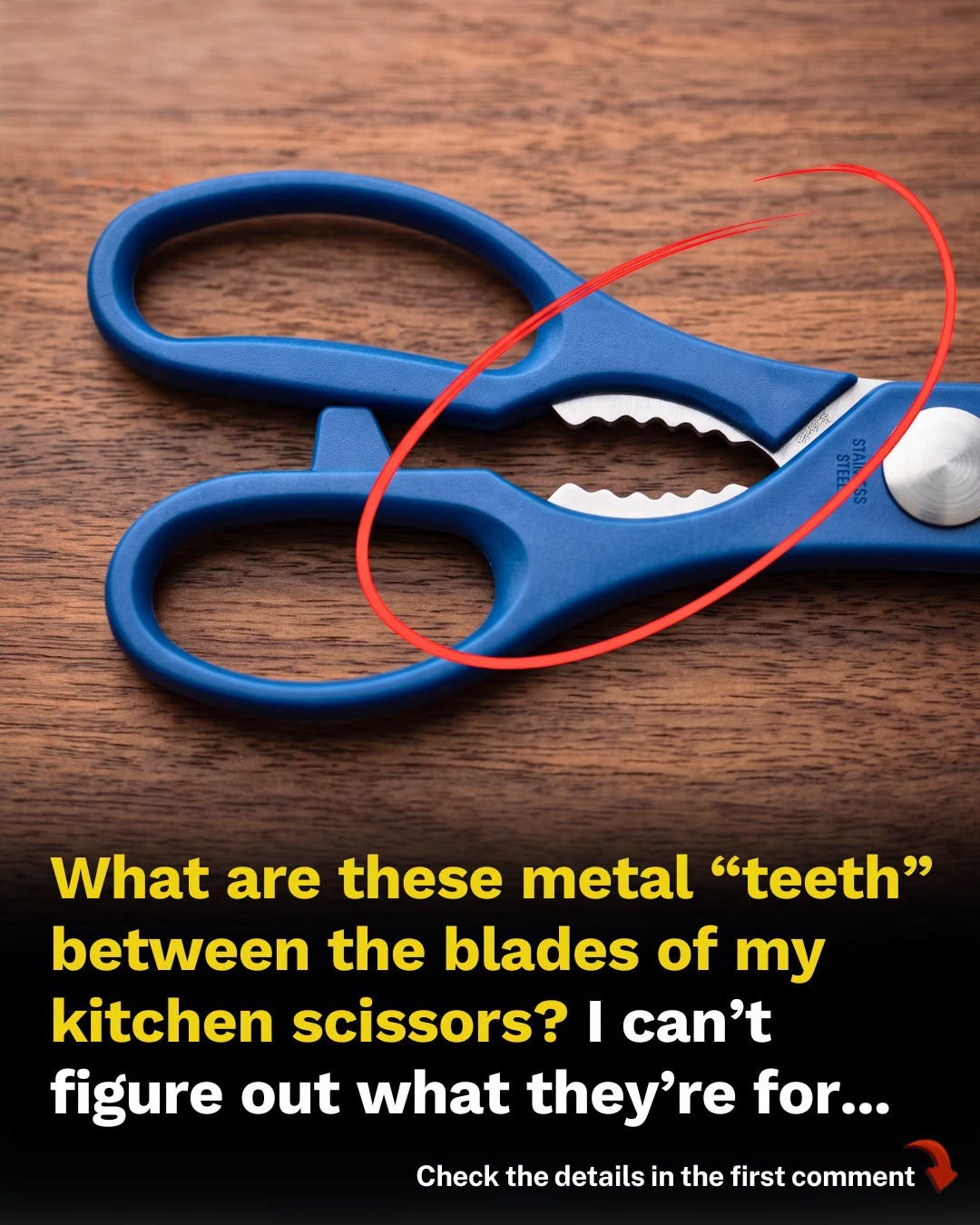 What That Toothed Part Between Kitchen Scissor Handles Is Really For