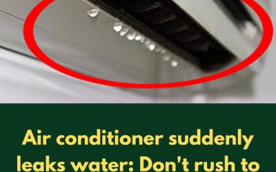 Air Conditioner Suddenly Leaks Water? Don’t Rush to Call a Technician and Waste Money—Do It This Way